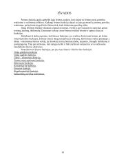 Šeimos funkcijų sąvoka 11 puslapis