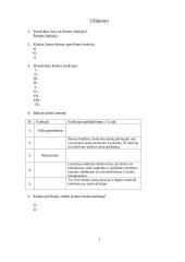 Šeimos funkcijų sąvoka 13 puslapis