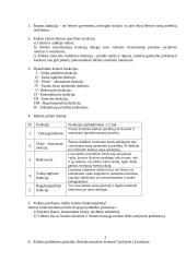 Šeimos funkcijų sąvoka 15 puslapis