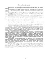 Šeimos funkcijų sąvoka 4 puslapis