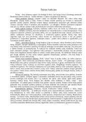 Šeimos funkcijų sąvoka 5 puslapis