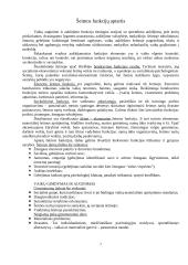 Šeimos funkcijų sąvoka 8 puslapis