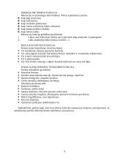 Šeimos funkcijų sąvoka 10 puslapis