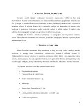 Kas yra šeima, funkcija? 4 puslapis