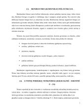 Kas yra šeima, funkcija? 7 puslapis