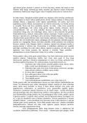 Šeimos ir ikimokyklinės įstaigos bendradarbiavimo svarba vaiko ugdyme 6 puslapis