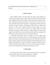 Šeimos kaip socializacijos instituto aktualumas ir kaitos tendencijos 6 puslapis