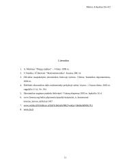 Šešėlinės ekonomikos samprata 11 puslapis