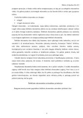 Šešėlinės ekonomikos samprata 4 puslapis