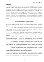 Šešėlinės ekonomikos samprata 6 puslapis