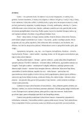 Šiaulių miesto ekologinės problemos 2 puslapis