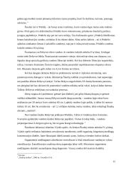 Šiaulių miesto ekologinės problemos 12 puslapis