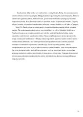 Šiaulių miesto ekologinės problemos 14 puslapis