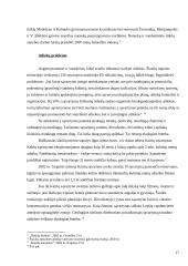 Šiaulių miesto ekologinės problemos 17 puslapis