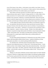 Šiaulių miesto ekologinės problemos 19 puslapis