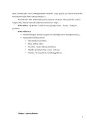 Šiaulių miesto ekologinės problemos 3 puslapis