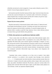 Širdis ir kraujotaka. Kraujotakos matematiniai modeliai 14 puslapis