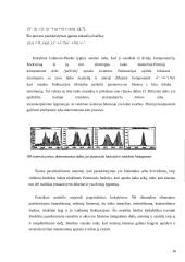 Širdis ir kraujotaka. Kraujotakos matematiniai modeliai 16 puslapis