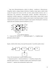 Širdis ir kraujotaka. Kraujotakos matematiniai modeliai 19 puslapis