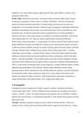 Širdis ir kraujotaka. Kraujotakos matematiniai modeliai 5 puslapis