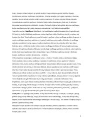 Širdis ir kraujotaka. Kraujotakos matematiniai modeliai 6 puslapis