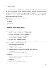 Taikomosios programos - buhalterinės apskaitos sistema 3 puslapis