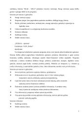 Taikomosios programos - buhalterinės apskaitos sistema 5 puslapis