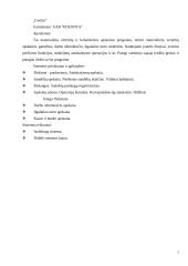 Taikomosios programos - buhalterinės apskaitos sistema 7 puslapis