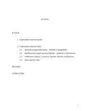 Tarptautinės sutarties sąvoka bei rūšys 2 puslapis