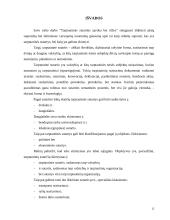 Tarptautinės sutarties sąvoka bei rūšys 12 puslapis