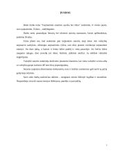 Tarptautinės sutarties sąvoka bei rūšys 3 puslapis