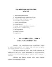 Tarptautinės teisės principai