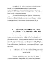 Tarptautinės teisės principai 4 puslapis