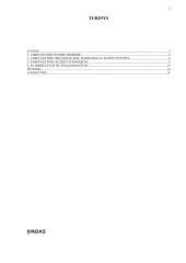 Tarptautinio audito reikšme ir standartai 2 puslapis