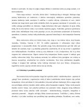 Tarptautinis protokolas ir etiketas Didžiojoje Britanijoje 11 puslapis