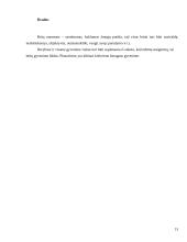 Tarptautinis protokolas ir etiketas Didžiojoje Britanijoje 15 puslapis