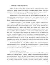 Tarptautinis protokolas ir etiketas Didžiojoje Britanijoje 17 puslapis