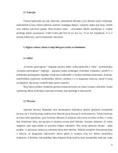 Tarptautinis protokolas ir etiketas Didžiojoje Britanijoje 9 puslapis