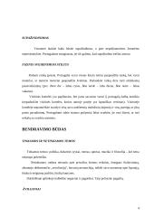 Tarptautinis protokolas ir etiketas Portugalijoje 4 puslapis