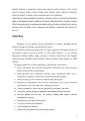 Tarptautinis protokolas ir etiketas Portugalijoje 7 puslapis