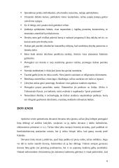 Tarptautinis protokolas ir etiketas Portugalijoje 8 puslapis