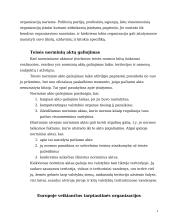 Tarptautinių organizacijų norminiai aktai 4 puslapis
