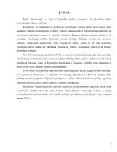 Tarpukario konstitucijų palyginimas 2 puslapis