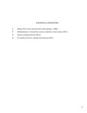 Tarpukario konstitucijų palyginimas 11 puslapis