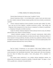 Tarpukario konstitucijų palyginimas 4 puslapis