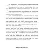 Tautinių mažumų teisių reguliavimas tarptautinėje teisėje ir jų įgyvendinimas Lietuvoje 11 puslapis