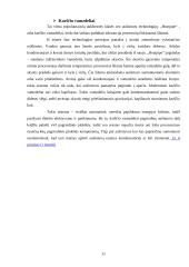 Techninė kompiuterių įranga 11 puslapis