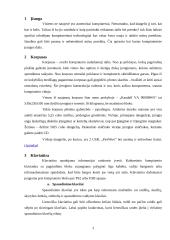 Techninė kompiuterių įranga 3 puslapis