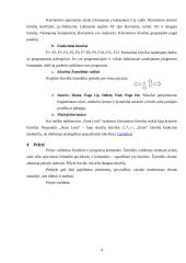 Techninė kompiuterių įranga 4 puslapis