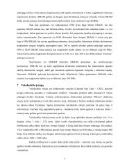 Techninė kompiuterių įranga 7 puslapis